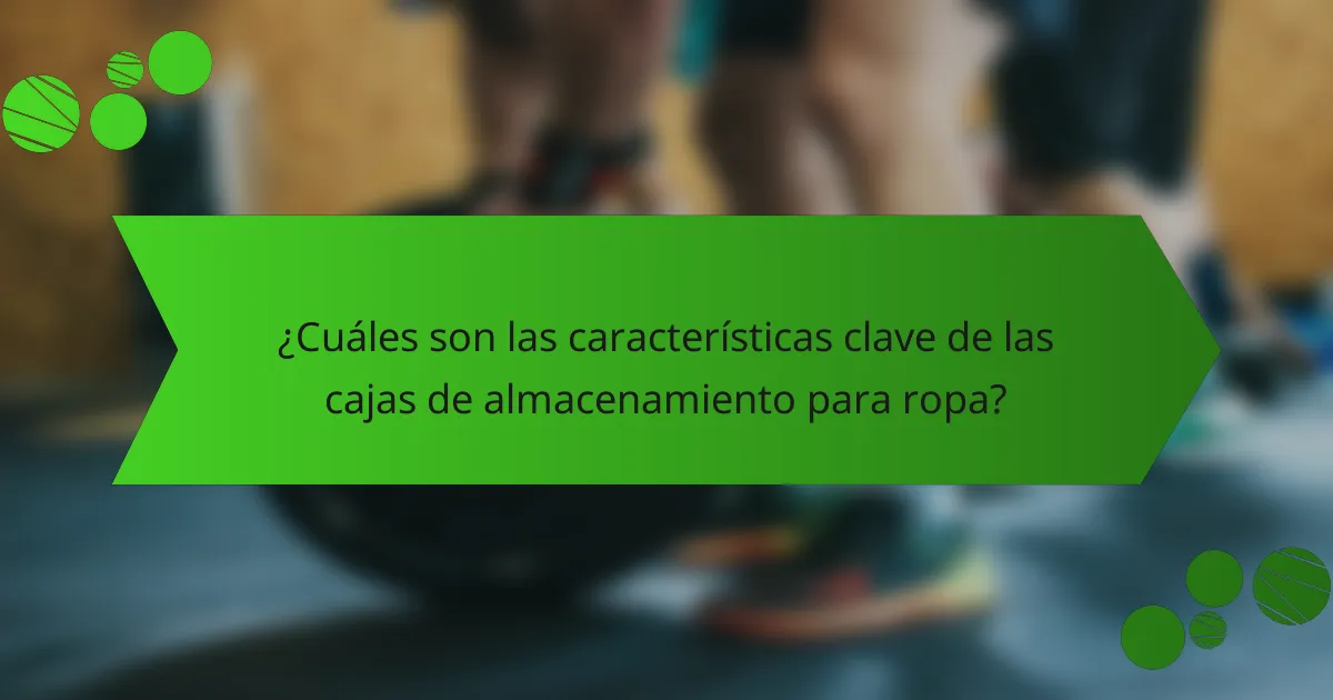 ¿Cuáles son las características clave de las cajas de almacenamiento para ropa?