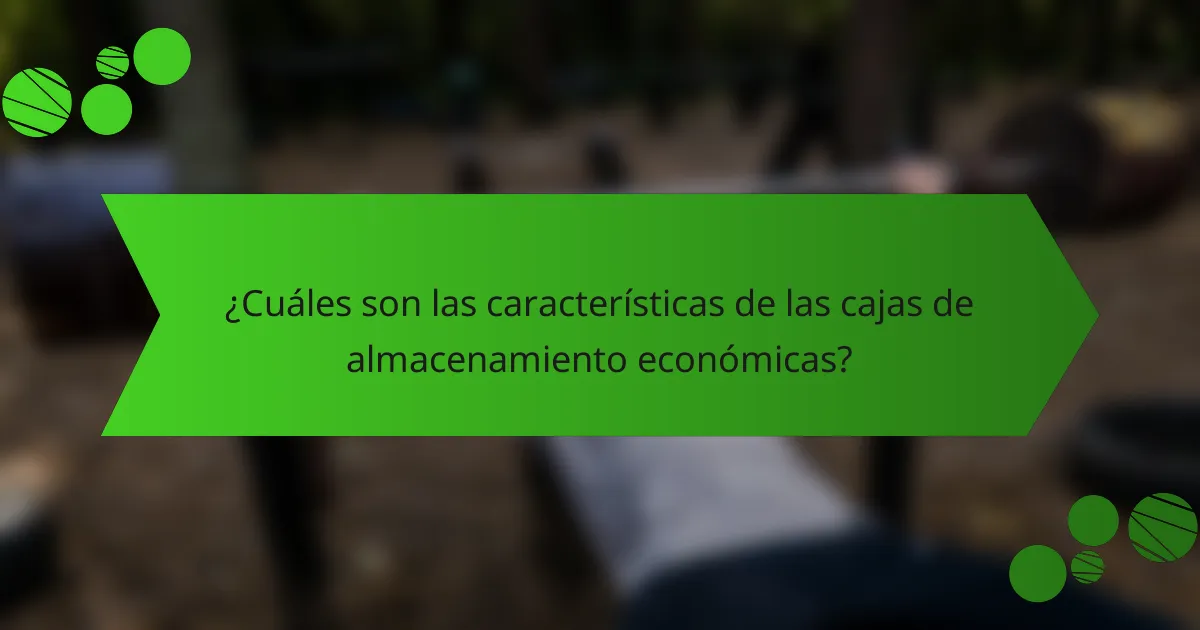 ¿Cuáles son las características de las cajas de almacenamiento económicas?