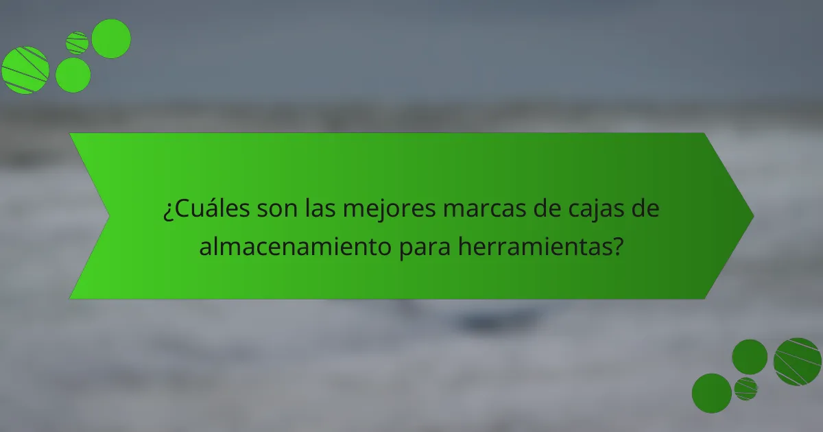 ¿Cuáles son las mejores marcas de cajas de almacenamiento para herramientas?
