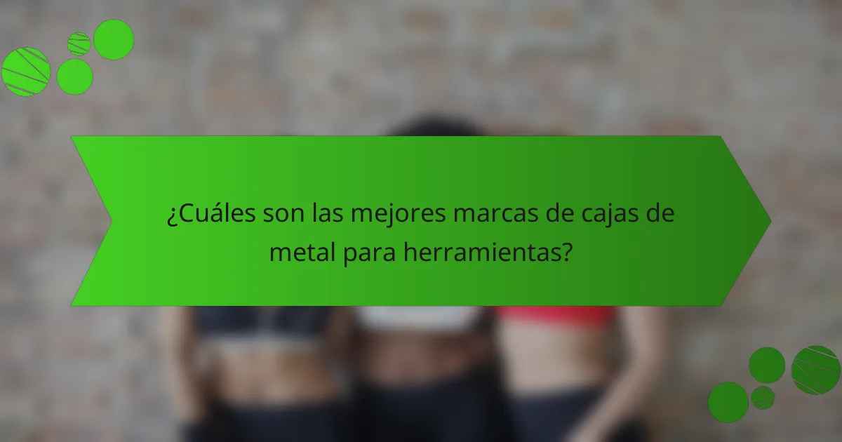 ¿Cuáles son las mejores marcas de cajas de metal para herramientas?