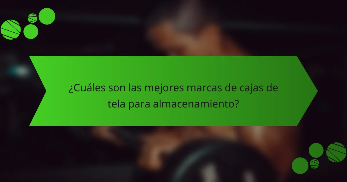 ¿Cuáles son las mejores marcas de cajas de tela para almacenamiento?