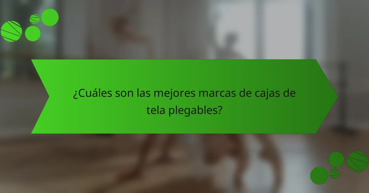 ¿Cuáles son las mejores marcas de cajas de tela plegables?