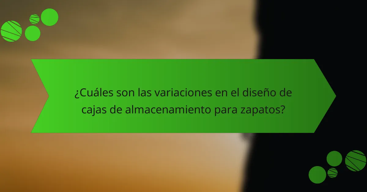 ¿Cuáles son las variaciones en el diseño de cajas de almacenamiento para zapatos?