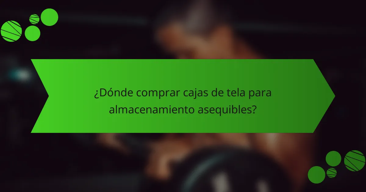 ¿Dónde comprar cajas de tela para almacenamiento asequibles?