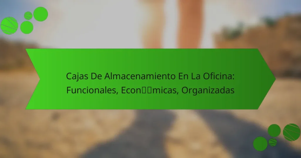 Cajas De Almacenamiento En La Oficina: Funcionales, Económicas, Organizadas