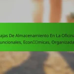 Cajas De Almacenamiento En La Oficina: Funcionales, Económicas, Organizadas