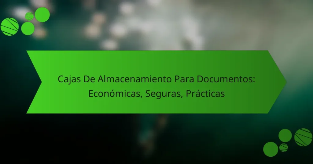 Cajas De Almacenamiento Para Documentos: Económicas, Seguras, Prácticas