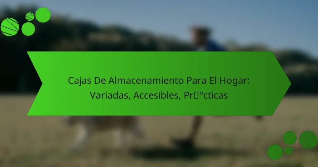 Cajas De Almacenamiento Para El Hogar: Variadas, Accesibles, Prácticas