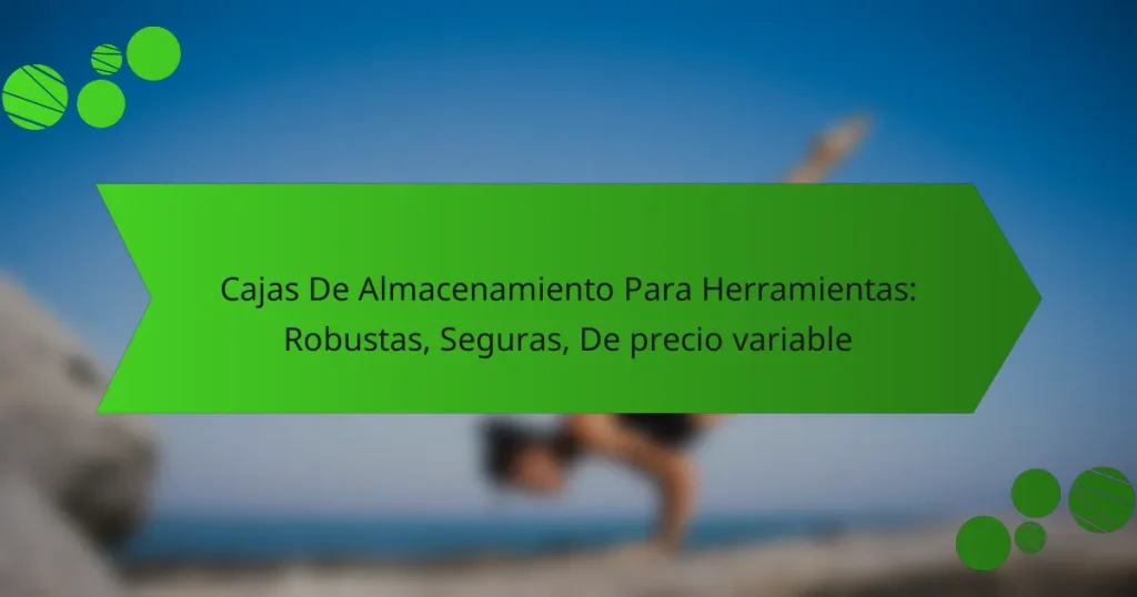 Cajas De Almacenamiento Para Herramientas: Robustas, Seguras, De precio variable