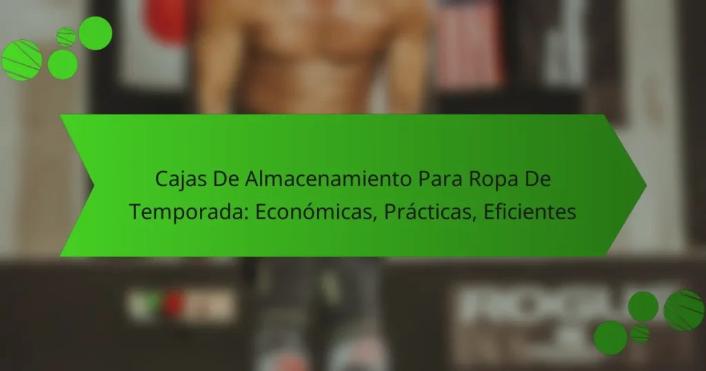 Cajas De Almacenamiento Para Ropa De Temporada: Económicas, Prácticas, Eficientes