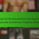Cajas De Almacenamiento Para Ropa De Temporada: Económicas, Prácticas, Eficientes
