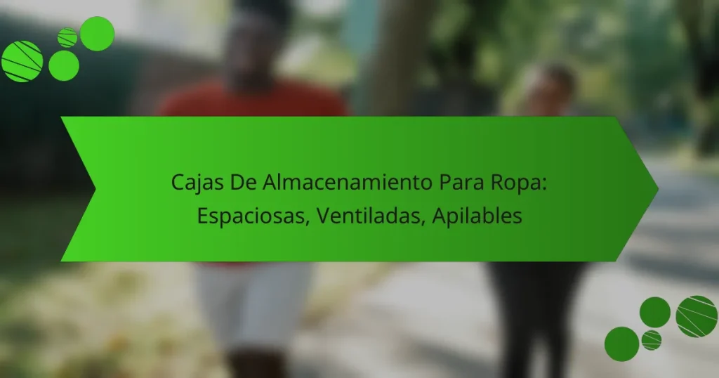 Cajas De Almacenamiento Para Ropa: Espaciosas, Ventiladas, Apilables