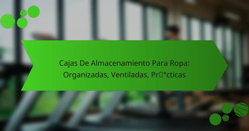Cajas De Almacenamiento Para Ropa: Organizadas, Ventiladas, Prácticas