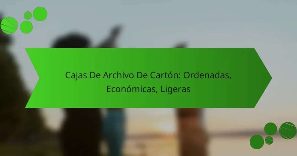 Cajas De Archivo De Cartón: Ordenadas, Económicas, Ligeras