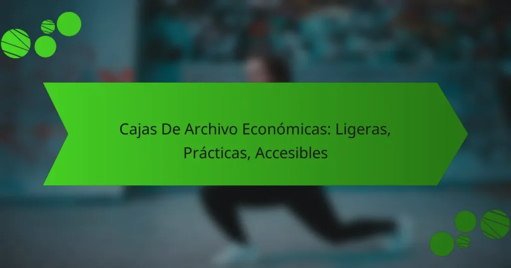 Cajas De Archivo Económicas: Ligeras, Prácticas, Accesibles