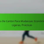 Cajas De Cartón Para Mudanzas: Económicas, Ligeras, Prácticas