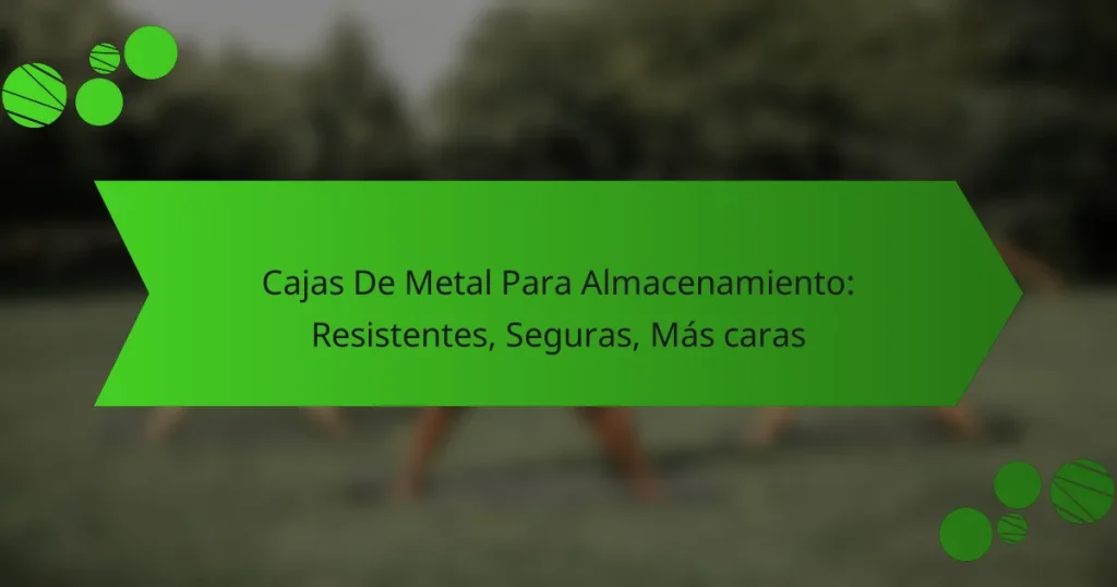Cajas De Metal Para Almacenamiento: Resistentes, Seguras, Más caras