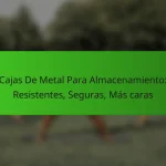 Cajas De Metal Para Almacenamiento: Resistentes, Seguras, Más caras
