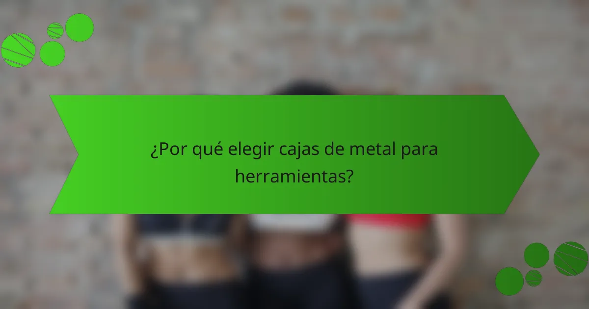 ¿Por qué elegir cajas de metal para herramientas?