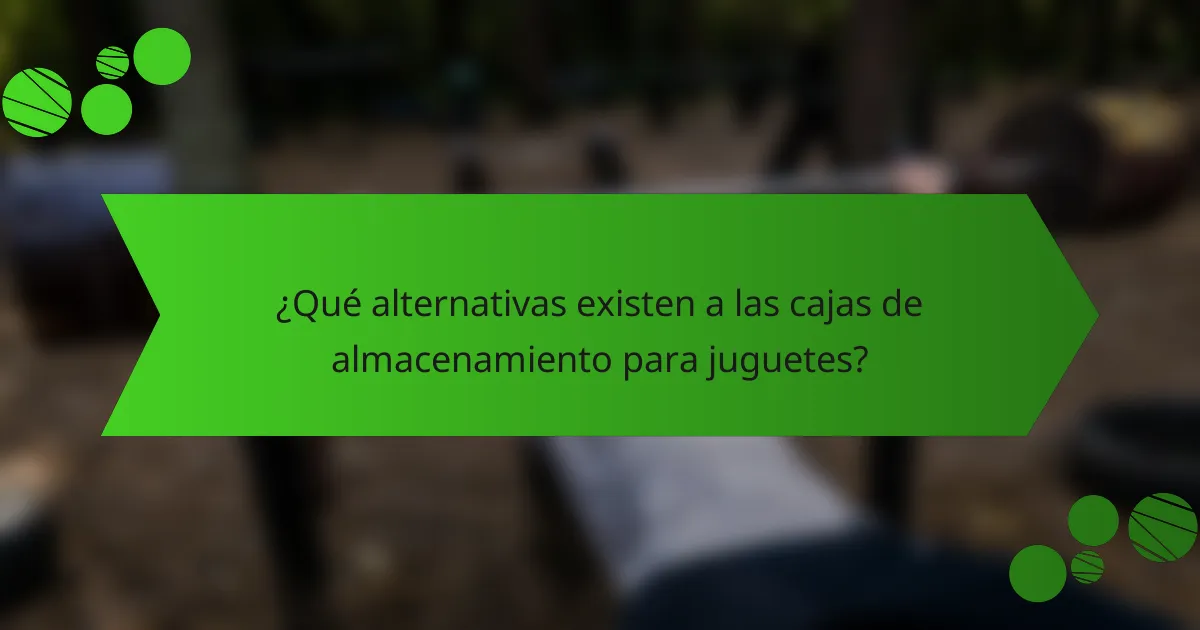 ¿Qué alternativas existen a las cajas de almacenamiento para juguetes?