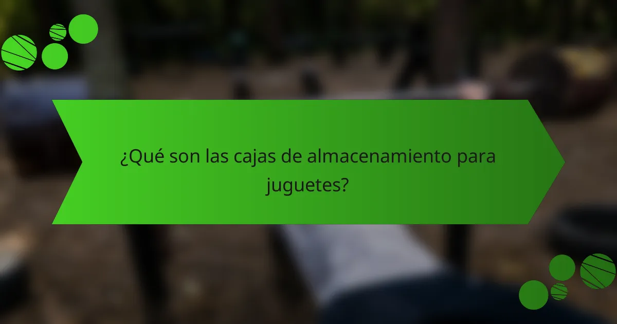 ¿Qué son las cajas de almacenamiento para juguetes?