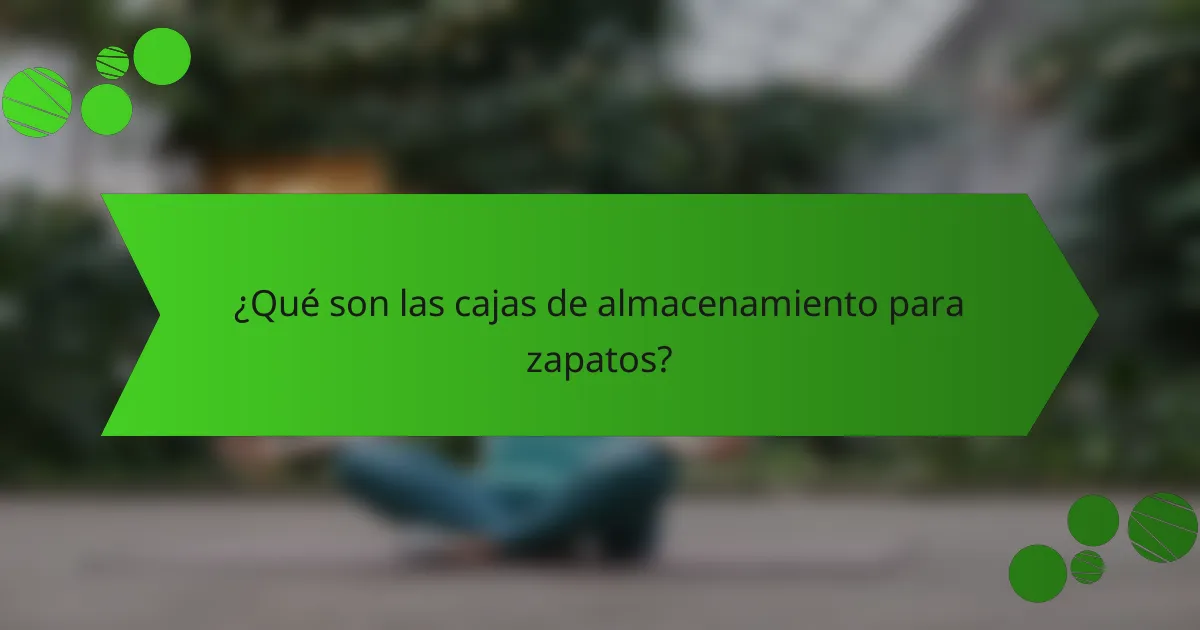 ¿Qué son las cajas de almacenamiento para zapatos?