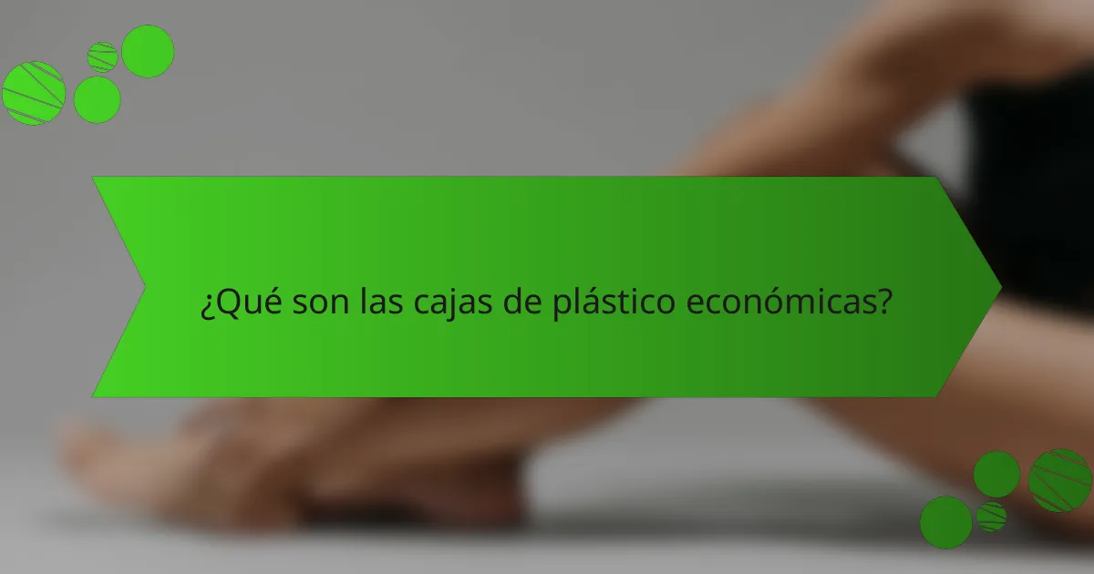 ¿Qué son las cajas de plástico económicas?